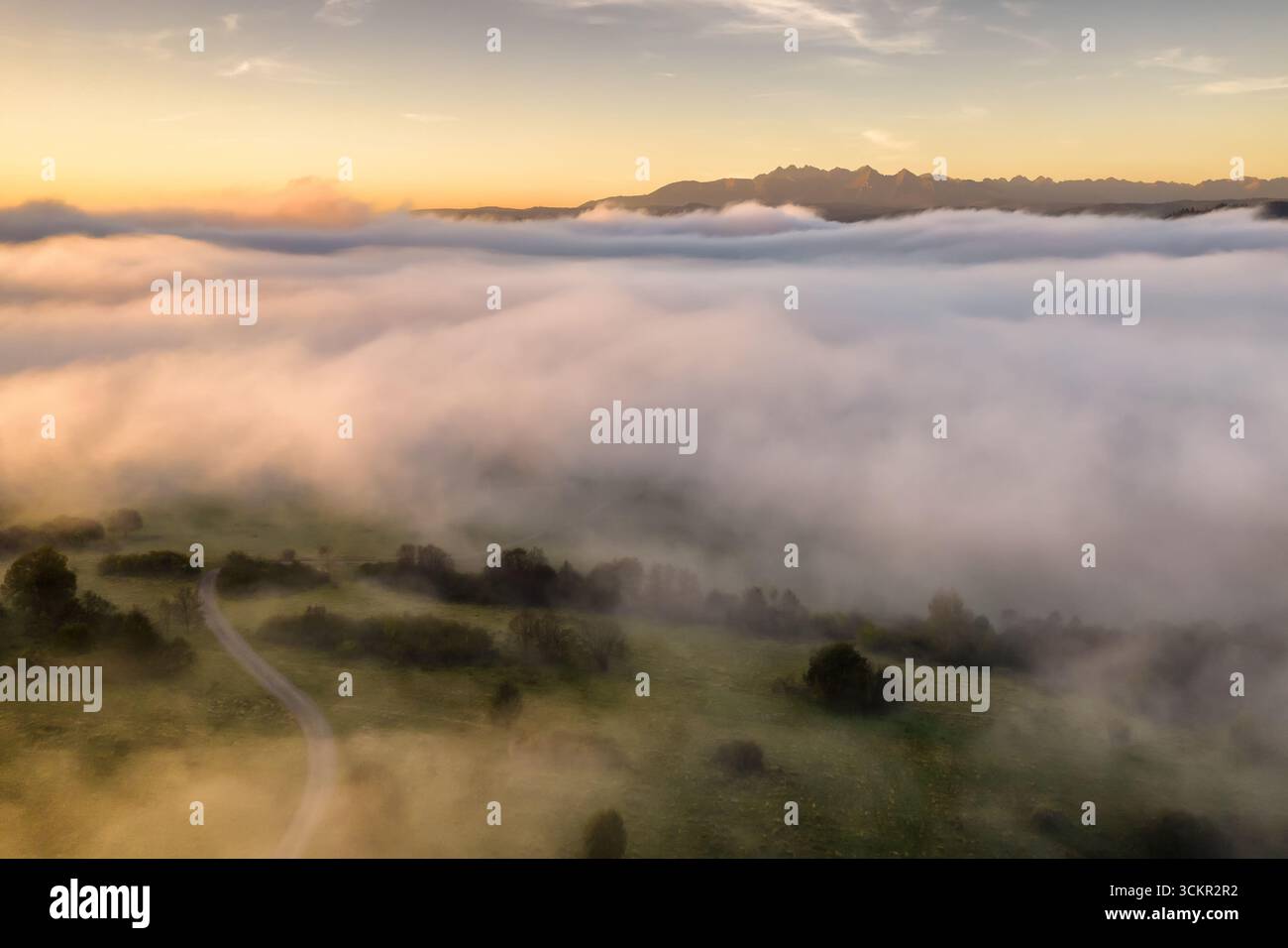 Blick aus der Vogelperspektive über den Morgennebel in Richtung der Tatra in Polen Stockfoto