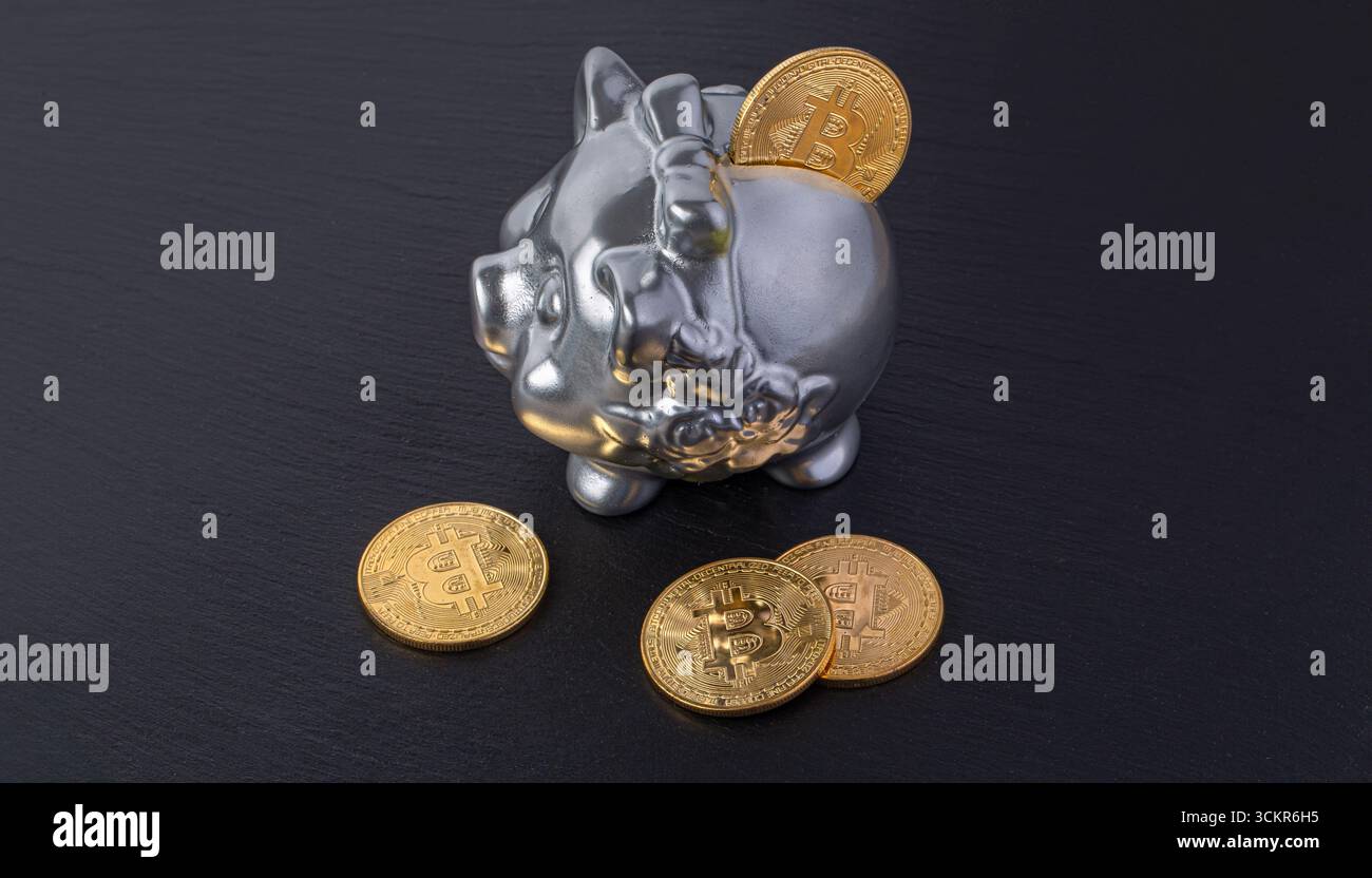 Goldene Bitcoins und silberne Schweinebank stehen auf schwarzem Hintergrund und repräsentieren die rettende Kryptowährung Stockfoto