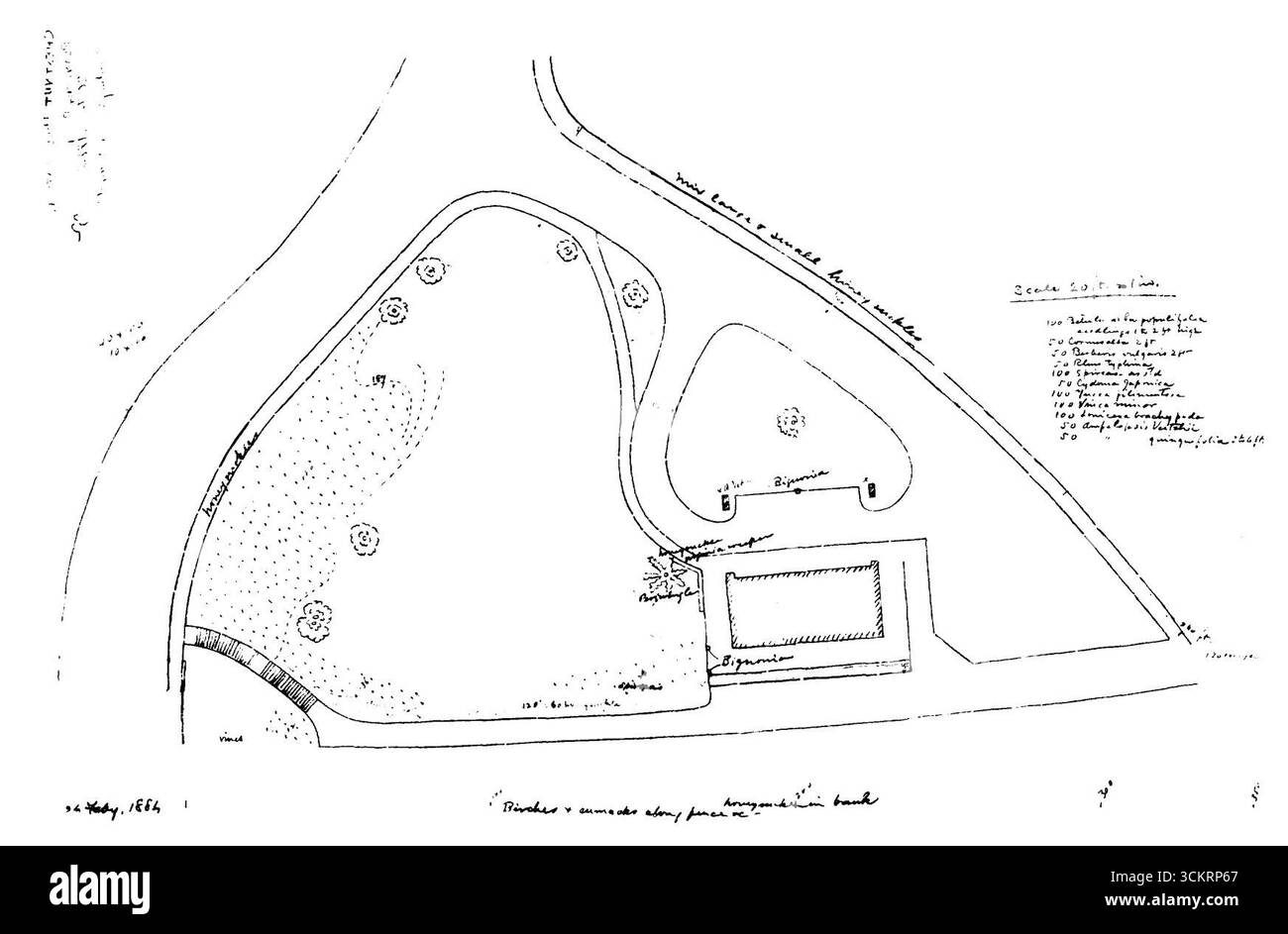 Olmsted Pflanzplan für Chestnut Hill Station, Februar 1884. Stockfoto