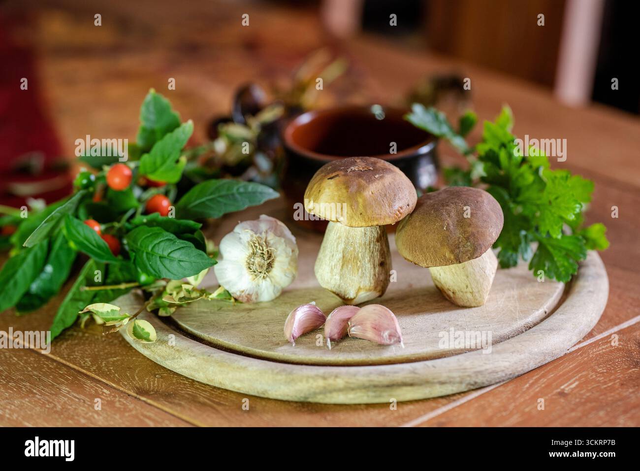 Funghi porcini dell'appennino modenese con aglio e prezzemolo, composizione Stockfoto