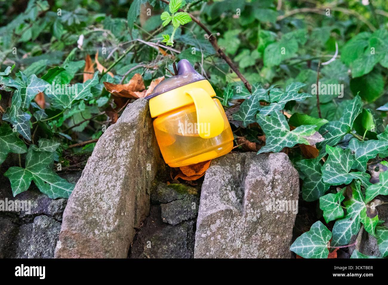 Ein Trinkbecher für ein Kind wurde an einer Felswand liegen gelassen, vielleicht nach einem Picknick oder einem Spaziergang im Wald. Stockfoto Ein Trinkbecher für ein Kind wurde an einer Felswand liegen gelassen, vielleicht nach einem Picknick oder einem Spaziergang im Wald. Stockfoto