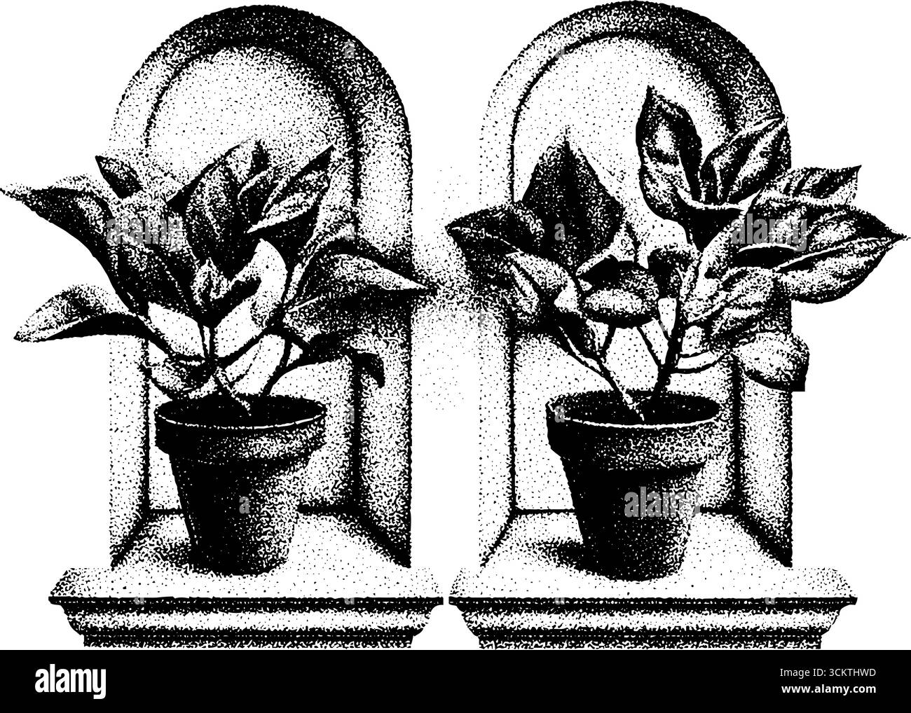 Zimmerpflanzen im Tattoo-Stil am Fenster mit leichtem Spiel. Stock Vektor