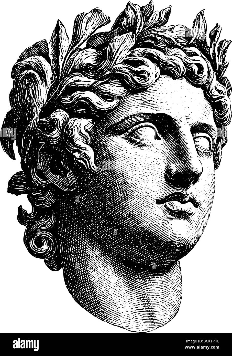 Vintage-Gorgonkopf-Illustration in Gravur und Bleistift-Sketch-Stil. Stock Vektor