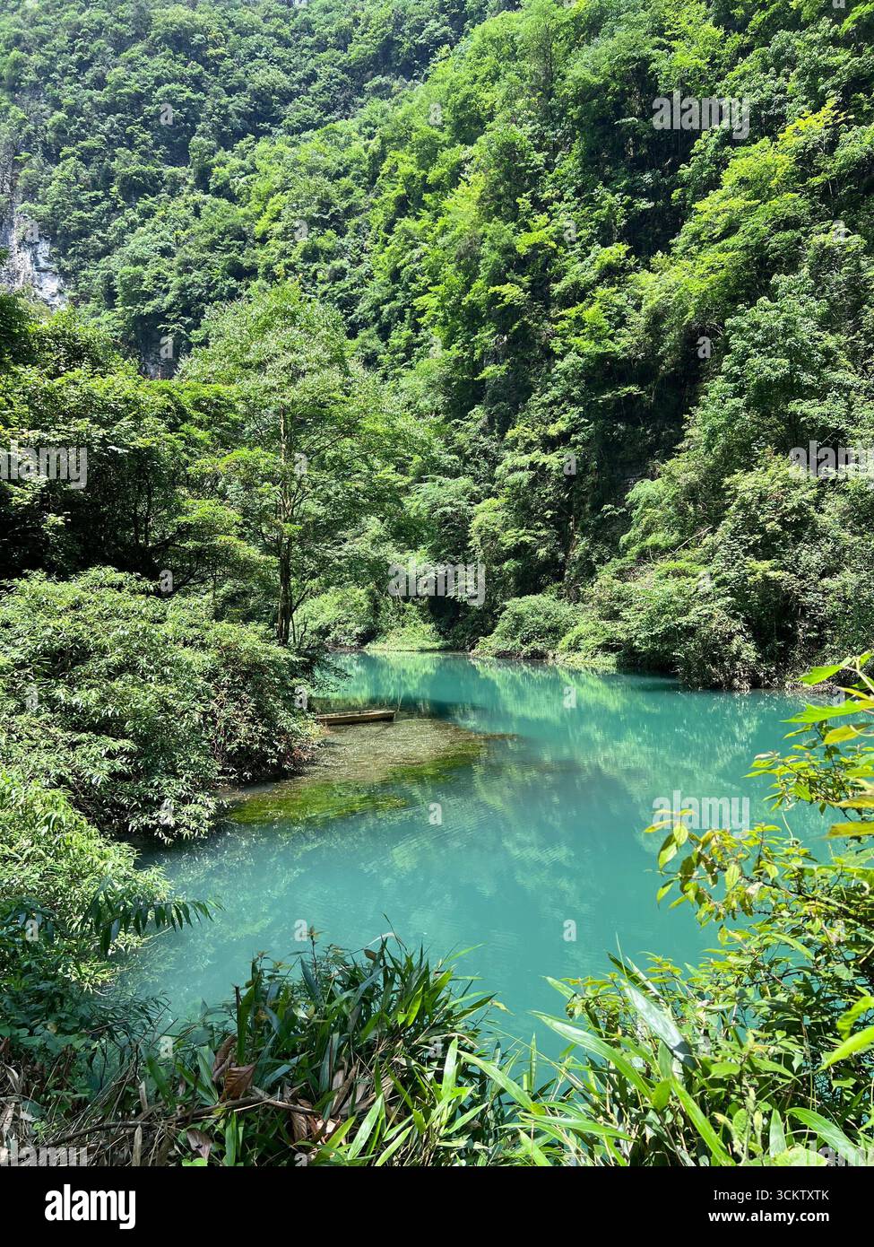 Smaragdgrüne Gewässer umgeben von üppig grünen Bergen – pure Ruhe im Zhangjiajie Grand Canyon. Stockfoto