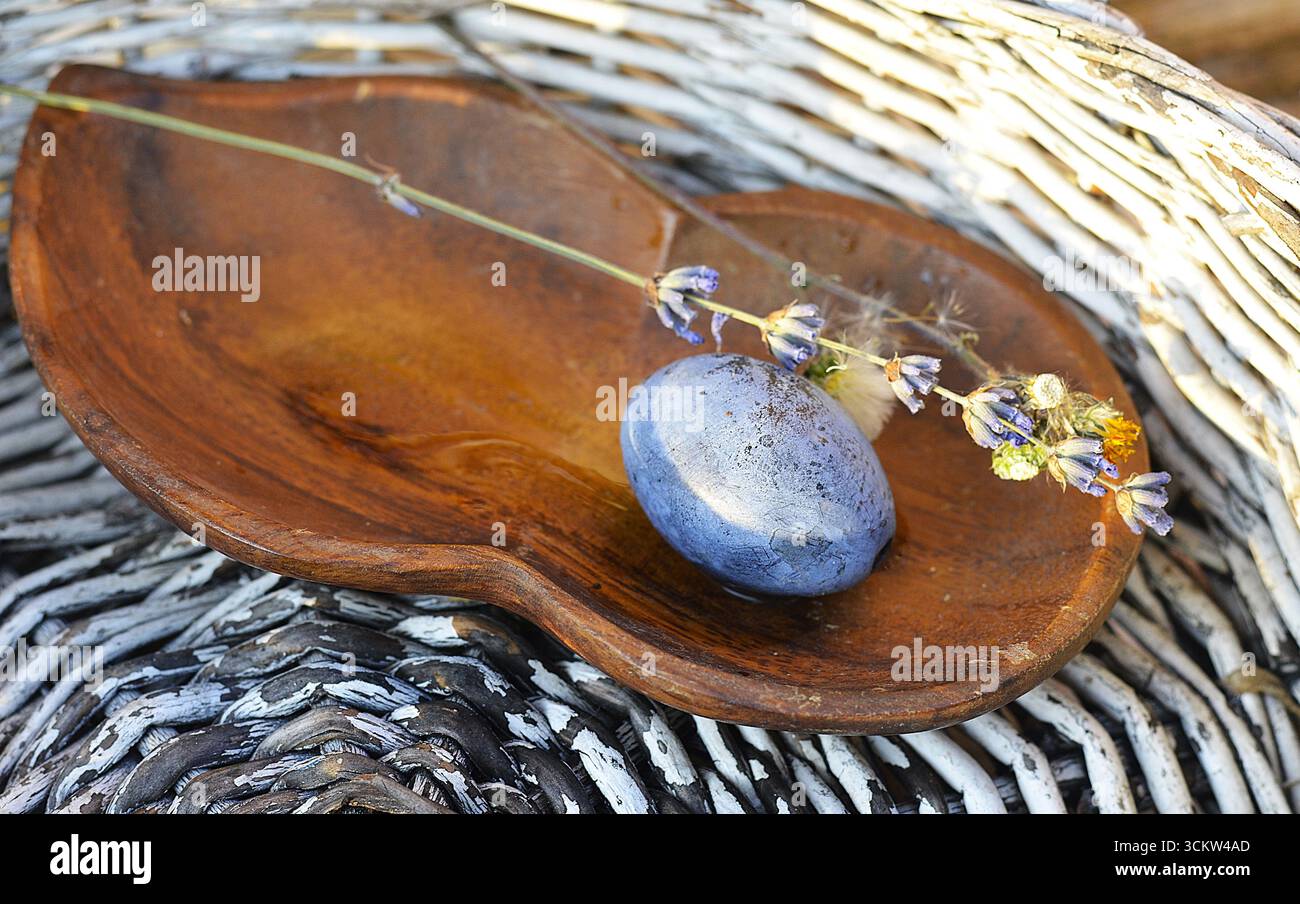 Einzelne Pflaume mit Lavendelblume, rustikale Wandkunst Stockfoto