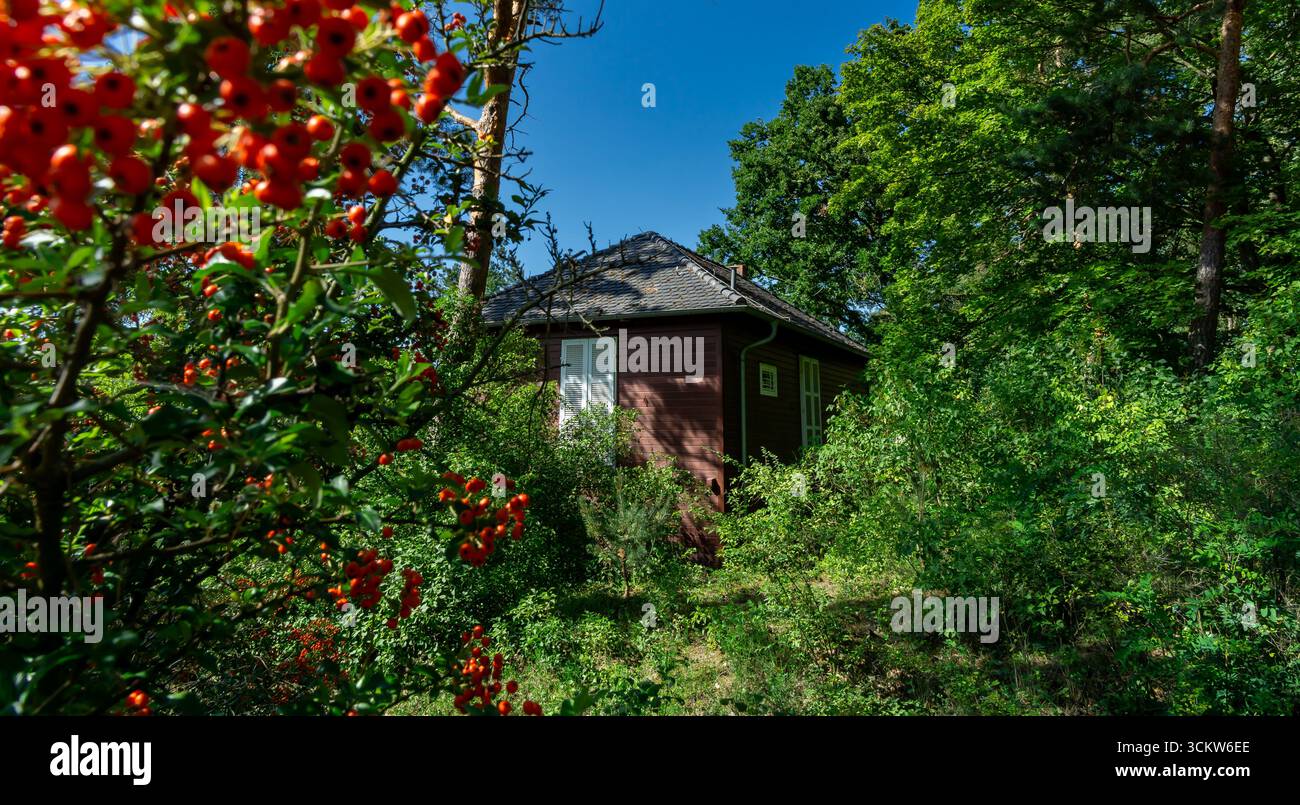 Außenansicht des Albert Einstein Sommerhauses in Caputh, Brandenburg, Deutschland, umgeben von Wald im Sommer. Stockfoto