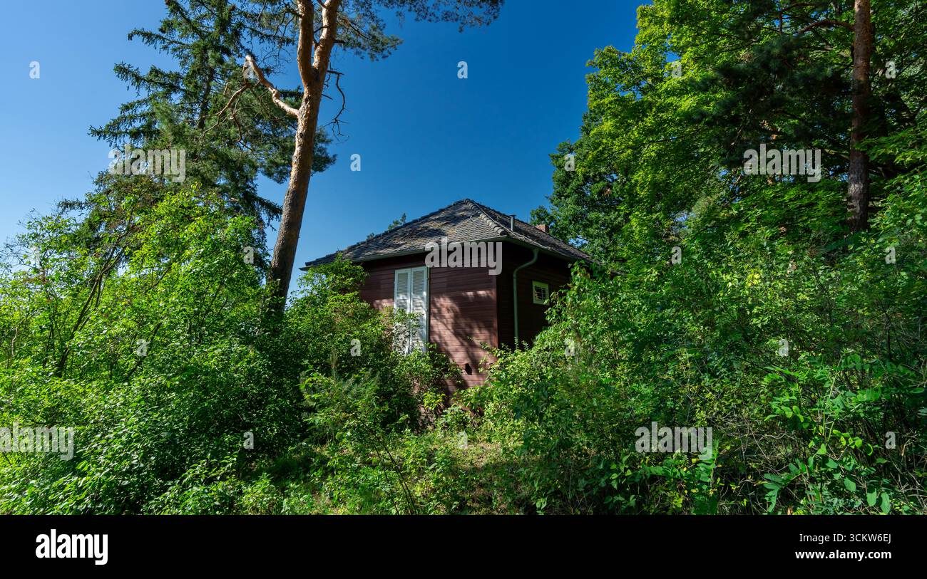 Außenansicht des Albert Einstein Sommerhauses in Caputh, Brandenburg, Deutschland, umgeben von Wald im Sommer. Stockfoto