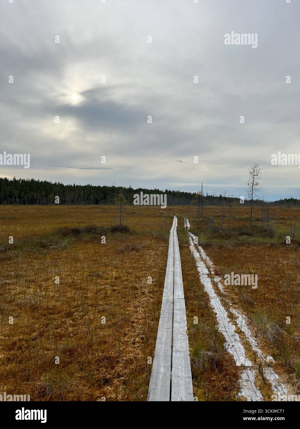 Duckboards durch ein Moor in Suomussalmi, Kainuu, Finnland - Smartphone-aufgenommenes Stockfoto