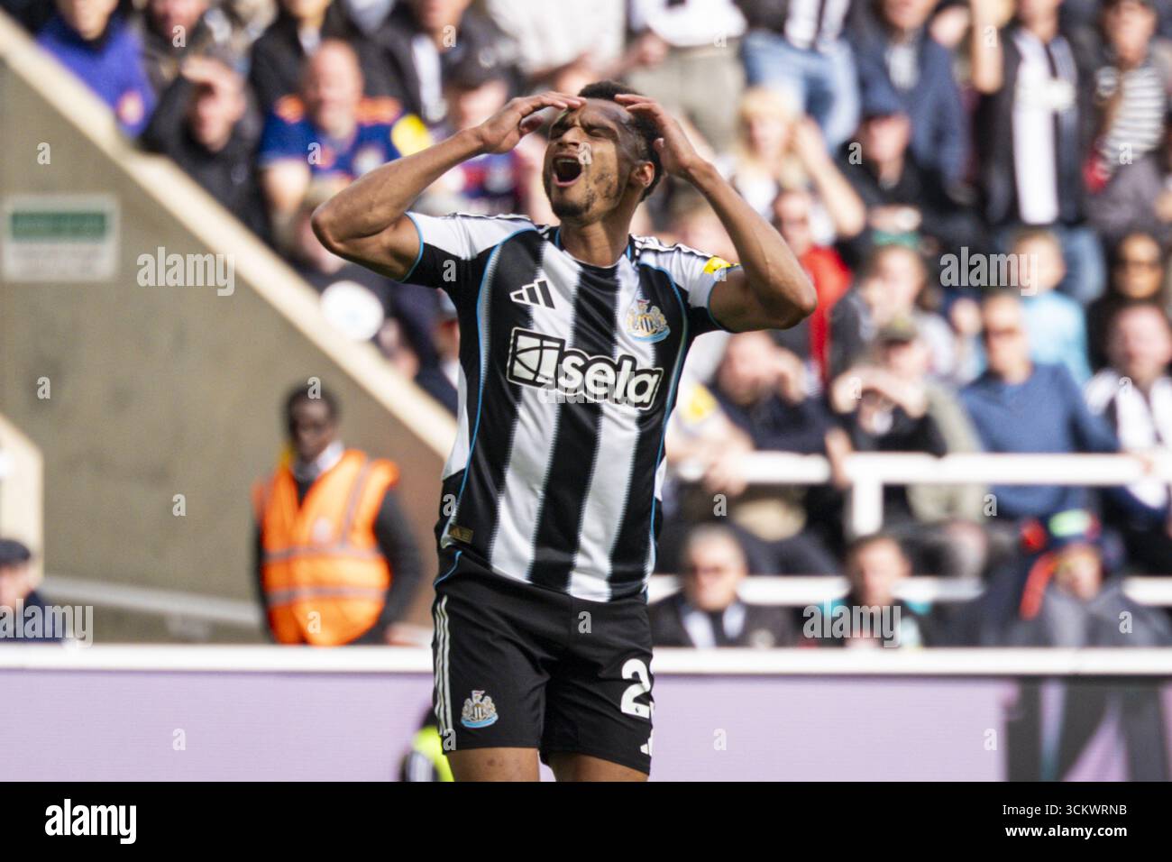 Newcastle upon Tyne, Großbritannien. September 2025. NEWCASTLE UPON TYNE, ENGLAND: Jacob Murphy von Newcastle United reagiert am 13. September 2025 in Newcastle upon Tyne auf ein Spiel der Premier League 2025/26 zwischen Newcastle United und Wolverhampton Wanderers im St. James Park. Quelle: SPP Sport Pressefoto. /Alamy Live News Stockfoto