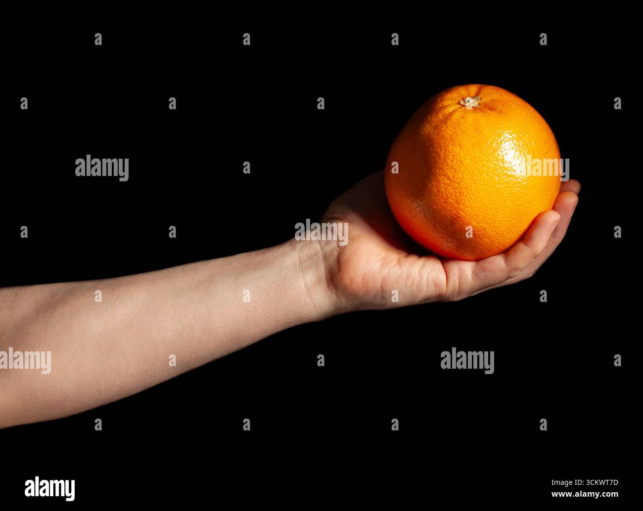 Grapefruit in der Hand auf schwarzem Hintergrund Stockfoto