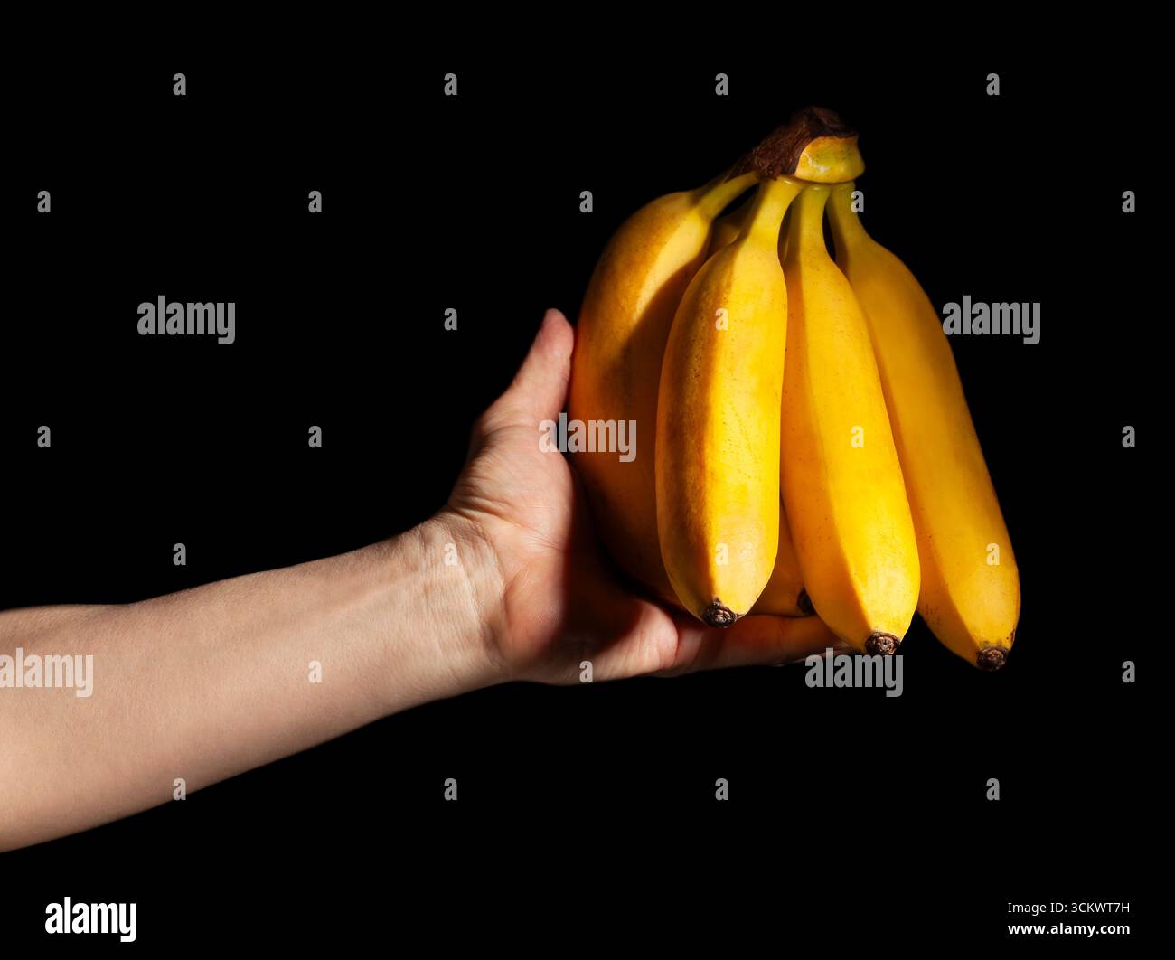 Bananenbänke in der Hand auf schwarzem Hintergrund Stockfoto