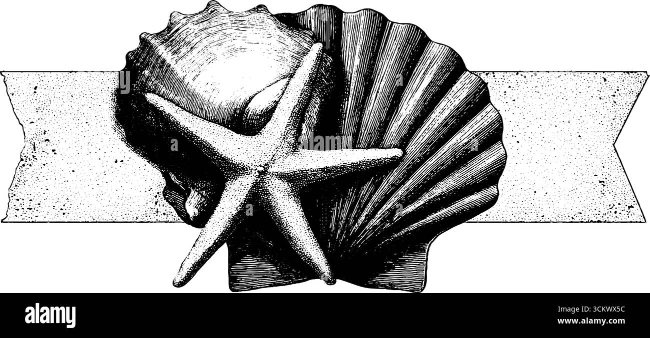 Vintage-Strandschale und Seesterne-Gravur für nautisches Dekor. Stock Vektor