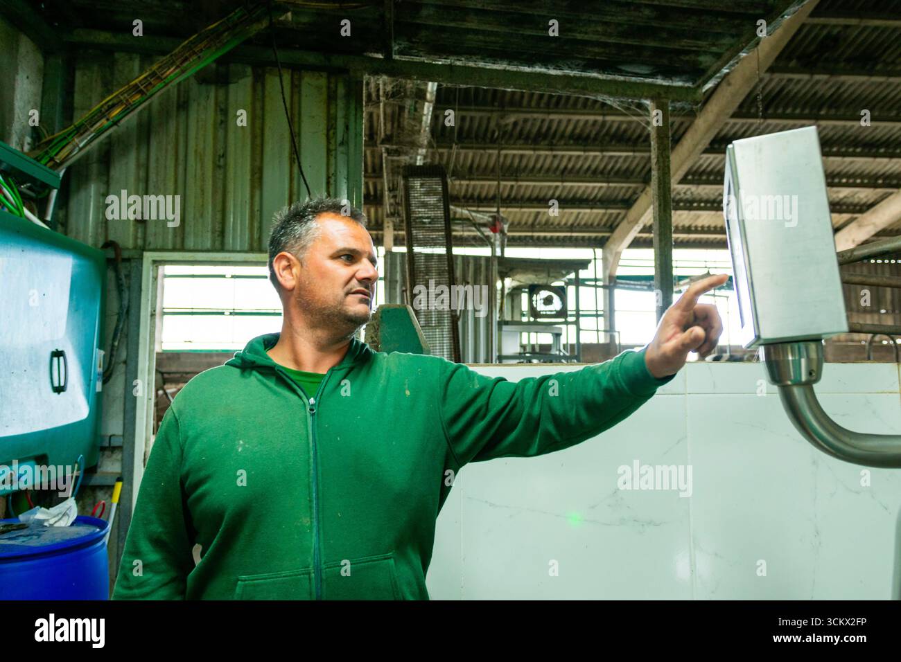 Landwirt, der Melkmaschine mit digitalem Bedienfeld in der Scheune bedient, zeigt modernes Management von Milchviehbetrieben Stockfoto