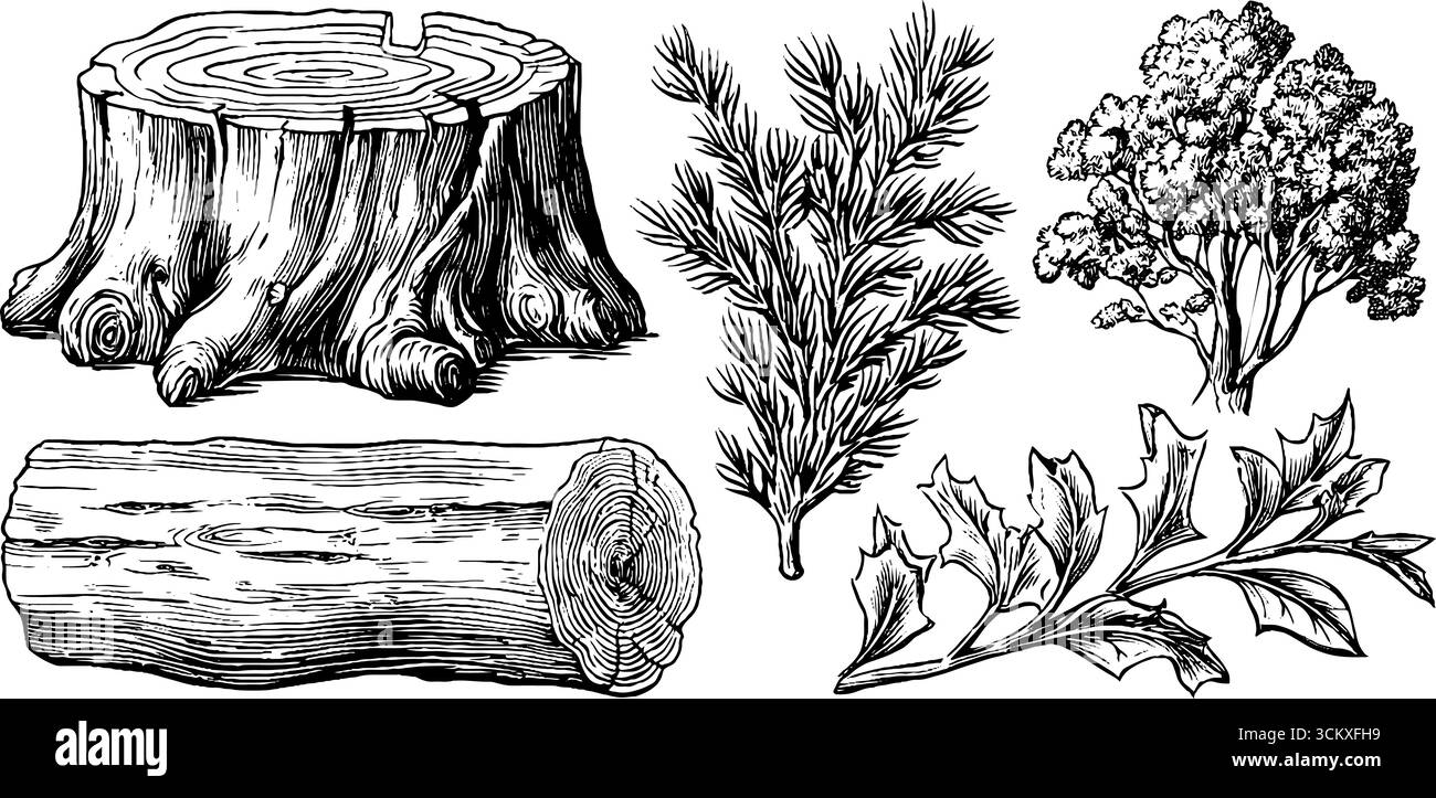 Rustikale botanische Gravur mit Baumstumpf- und Holzdielen für Naturdesign. Stock Vektor