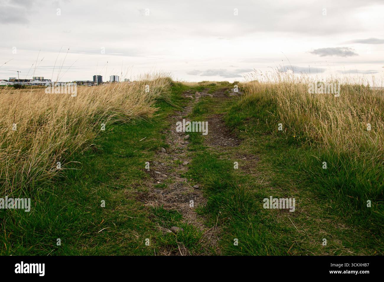 Ein landschaftlich schöner grasbewachsener Pfad führt an einem bewölkten Tag in Island zu einer städtischen Skyline Stockfoto