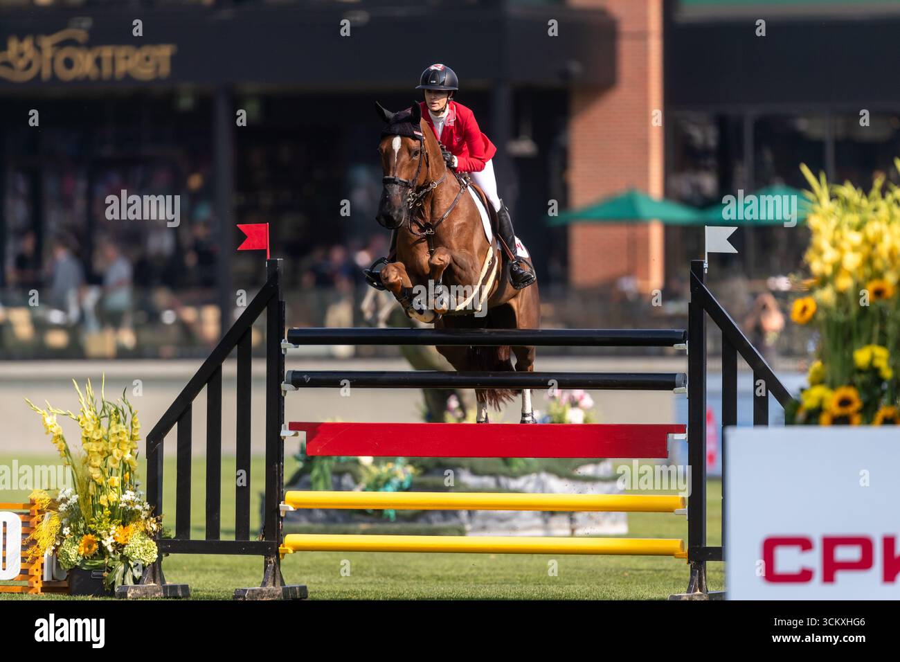 Tiffany Foster of Canada, Riding Electrique, tritt im September in der ersten Runde des BMO Nations Cups 2025 während der Spruce Meadows Masters an Stockfoto