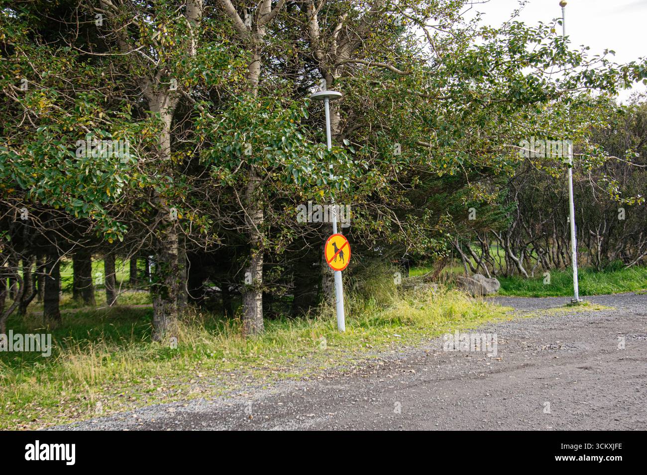 Üppiger grüner Park mit einem hervorgehobenen Fußgängerwarnschild in Island Stockfoto