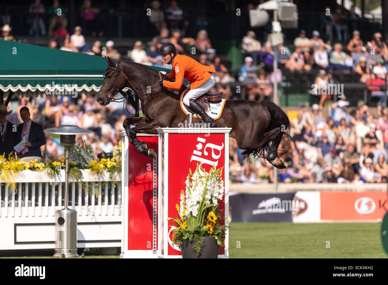 Michael Greeve aus den Niederlanden, der in Denver fährt, tritt in der ersten Runde des BMO Nations Cups 2025 während der Spruce Meadows Masters auf Septe an Stockfoto