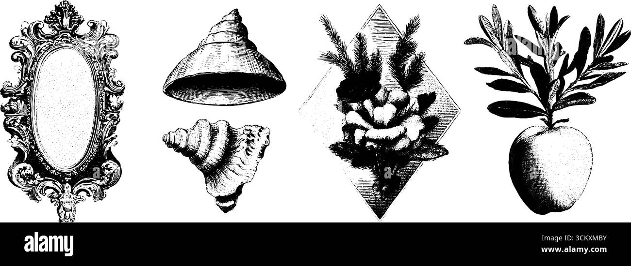 Verzierte Rokoko-Rahmen und Blüten mit Muscheln und botanischen Elementen für elegantes Design. Stock Vektor