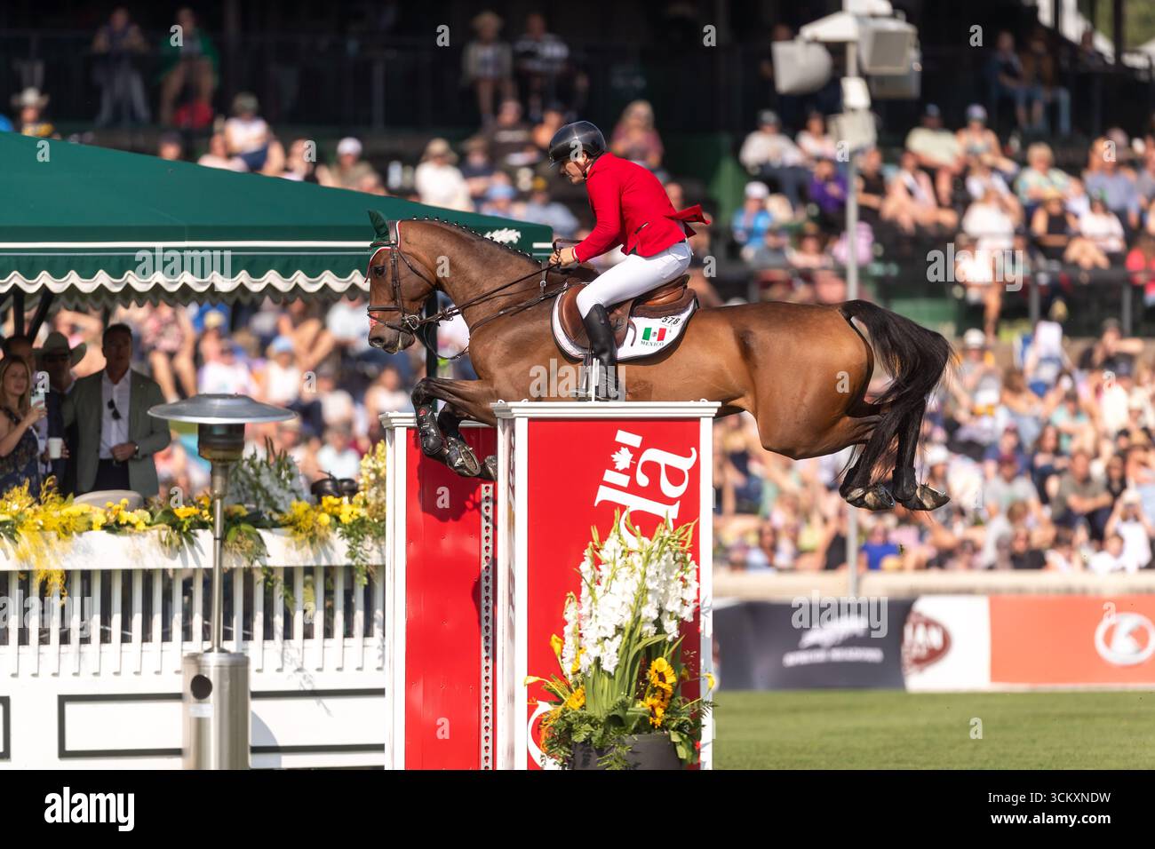 Arturo Parada Vallejo aus Mexiko, der auf Valento fährt, tritt in der ersten Runde des BMO Nations Cup 2025 während der Spruce Meadows „Masters“ auf Septem an Stockfoto