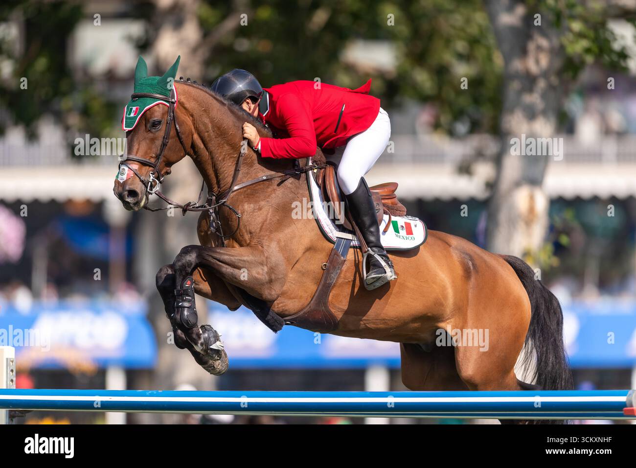 Arturo Parada Vallejo aus Mexiko, der auf Valento fährt, tritt in der ersten Runde des BMO Nations Cup 2025 während der Spruce Meadows „Masters“ auf Septem an Stockfoto