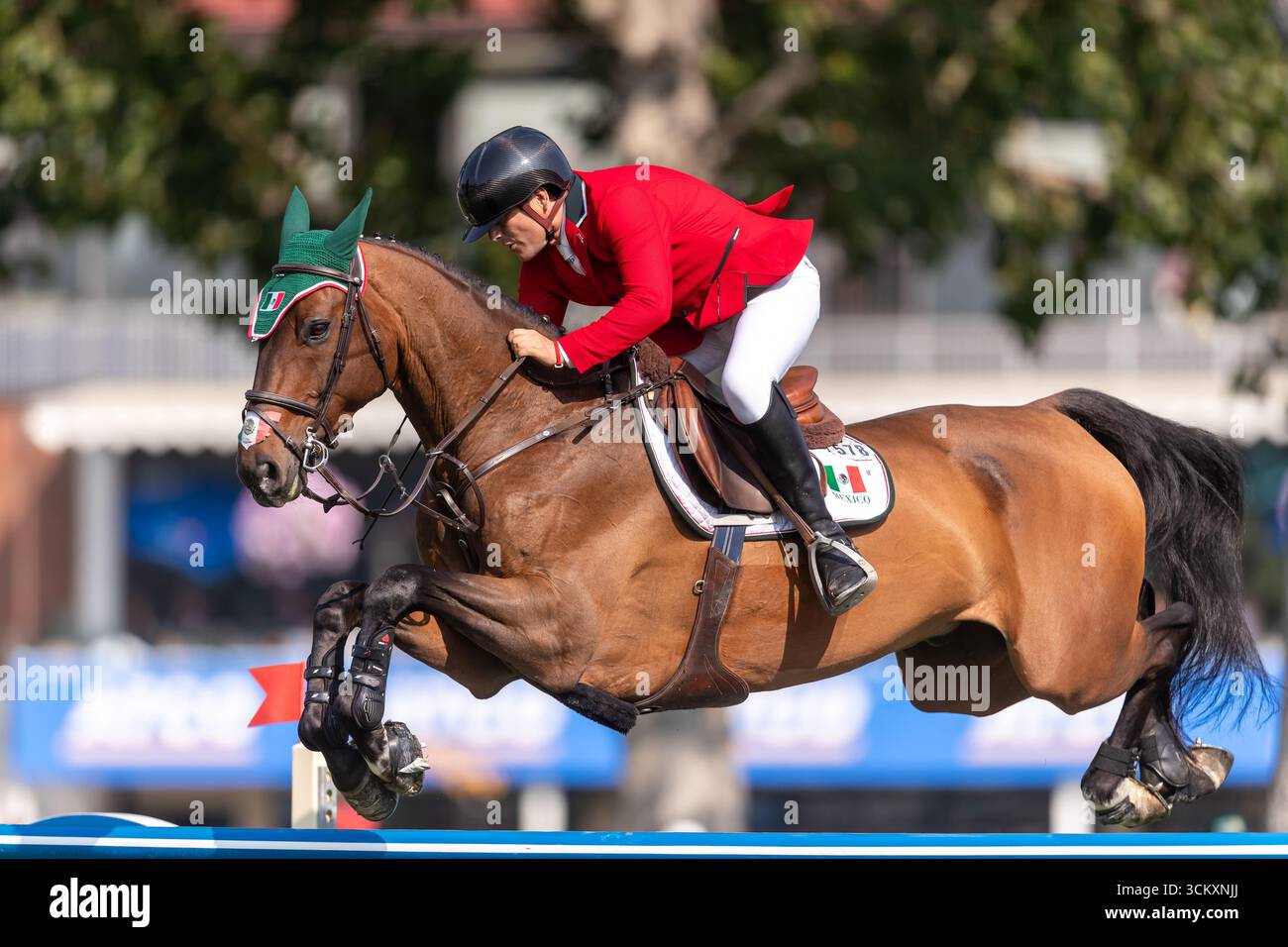 Arturo Parada Vallejo aus Mexiko, der auf Valento fährt, tritt in der ersten Runde des BMO Nations Cup 2025 während der Spruce Meadows „Masters“ auf Septem an Stockfoto