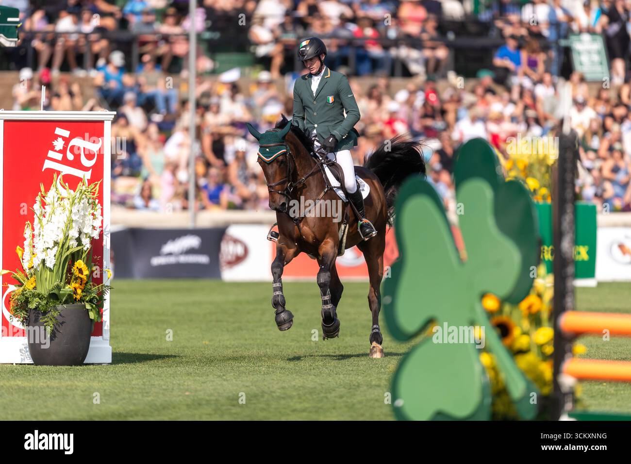 Daniel Coyle aus Irland, Riding Legacy, tritt in der ersten Runde des BMO Nations Cups 2025 während der Spruce Meadows Masters am 6. September 20 an Stockfoto