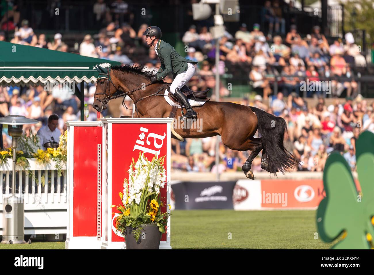 Daniel Coyle aus Irland, Riding Legacy, tritt in der ersten Runde des BMO Nations Cups 2025 während der Spruce Meadows Masters am 6. September 20 an Stockfoto