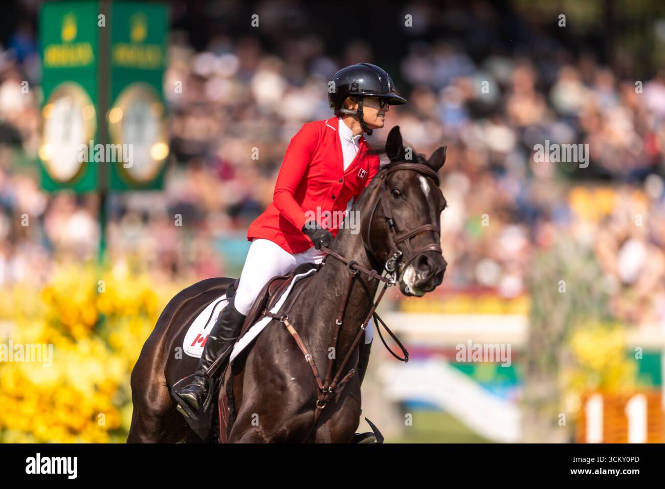 Erynn Ballard aus Kanada, Riding Dior, tritt am 6. September 2025 in der ersten Runde des BMO Nations Cup 2025 während der Spruce Meadows Masters an Stockfoto