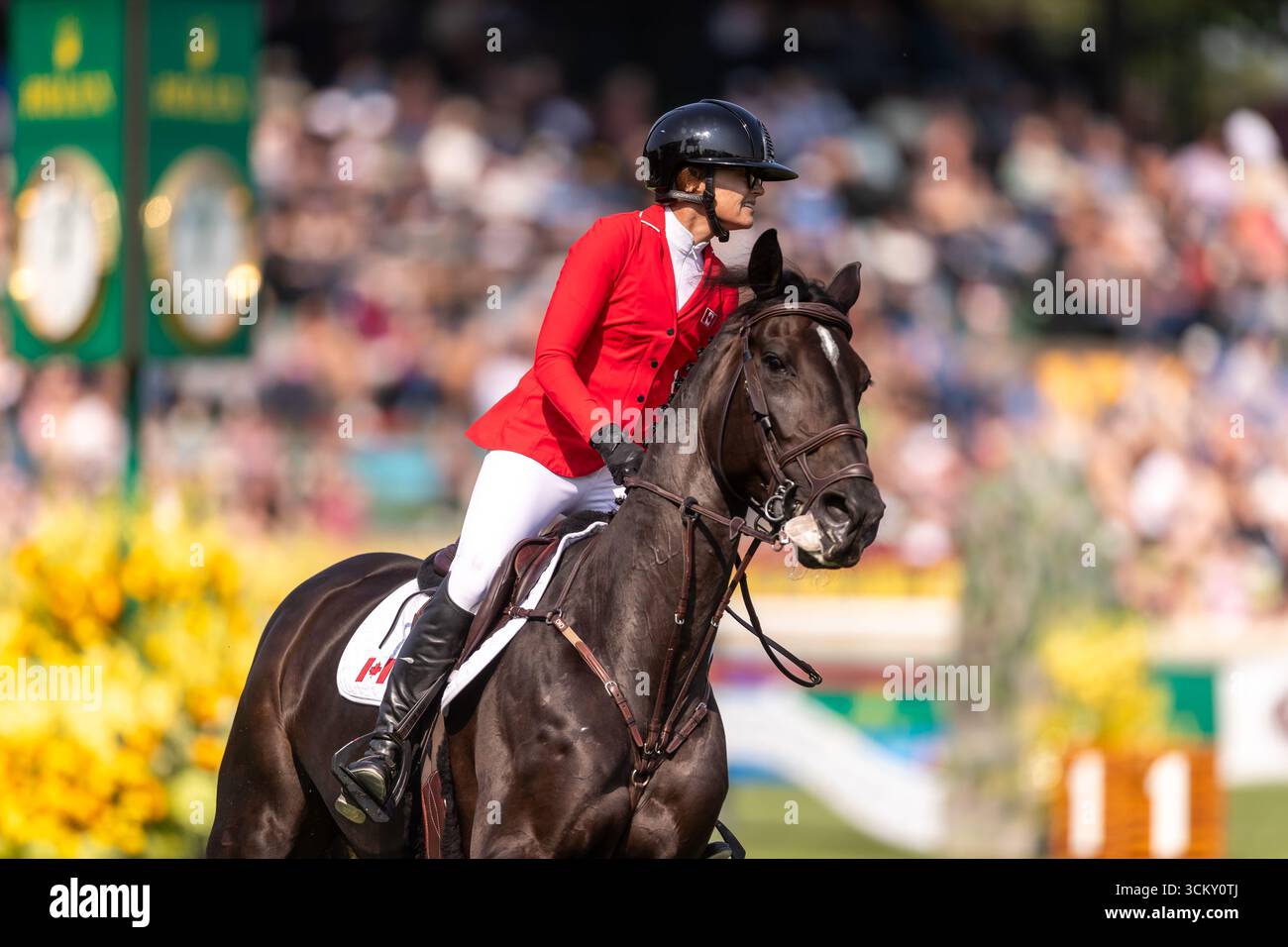 Erynn Ballard aus Kanada, Riding Dior, tritt am 6. September 2025 in der ersten Runde des BMO Nations Cup 2025 während der Spruce Meadows Masters an Stockfoto