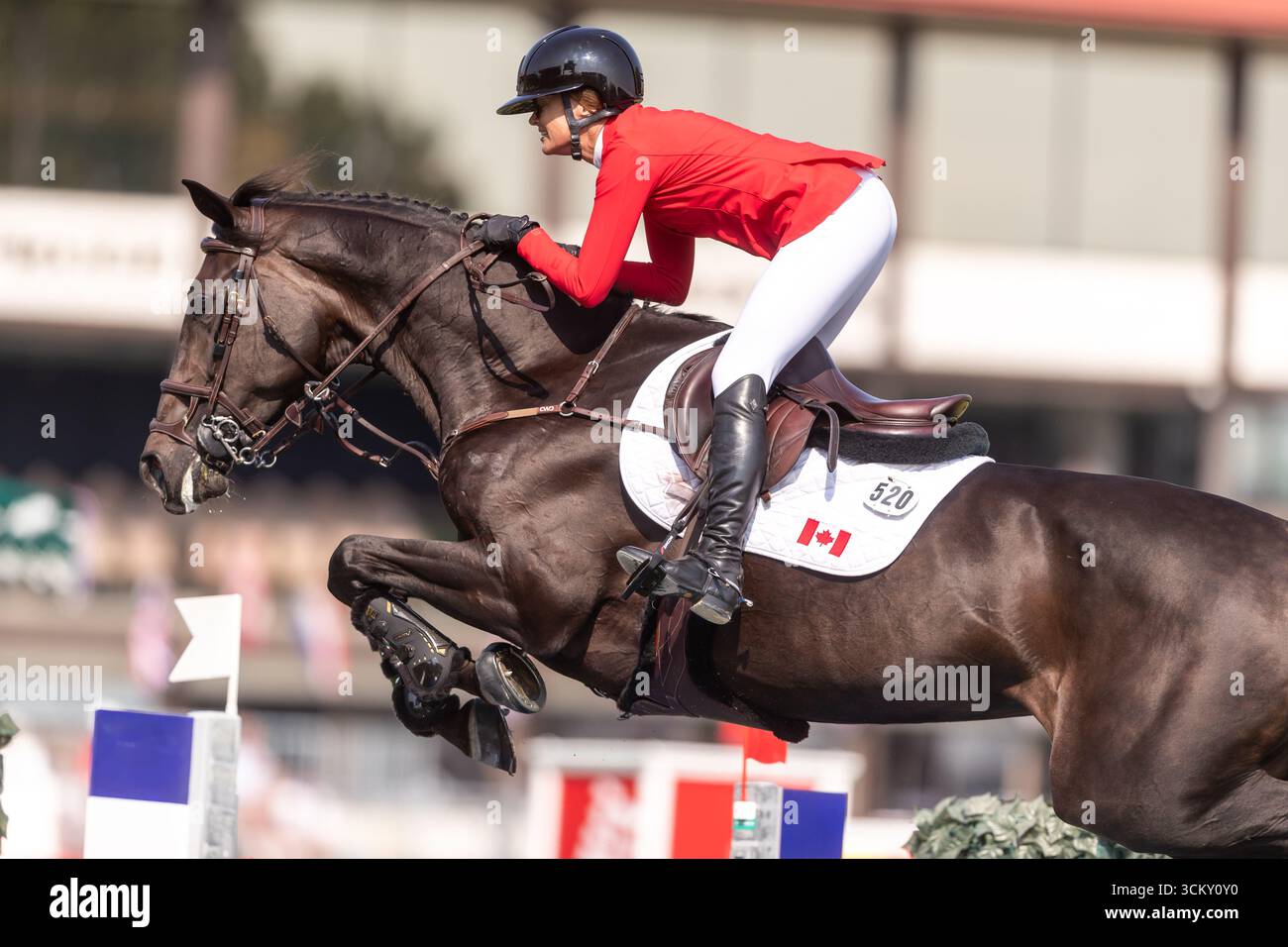 Erynn Ballard aus Kanada, Riding Dior, tritt am 6. September 2025 in der ersten Runde des BMO Nations Cup 2025 während der Spruce Meadows Masters an Stockfoto