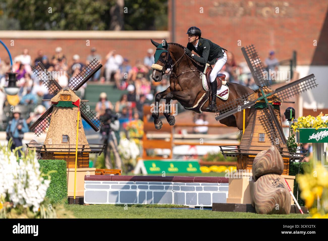 Pedro Junquiera Muylaert aus Brasilien, reitet auf Quax 76, tritt in der ersten Runde des BMO Nations Cup 2025 während der Spruce Meadows „Masters“ am September an Stockfoto