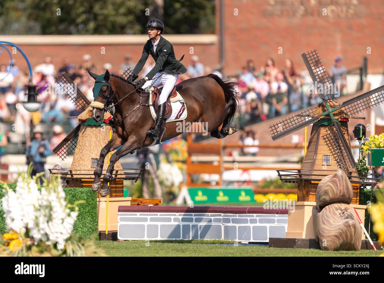 Pedro Junquiera Muylaert aus Brasilien, reitet auf Quax 76, tritt in der ersten Runde des BMO Nations Cup 2025 während der Spruce Meadows „Masters“ am September an Stockfoto