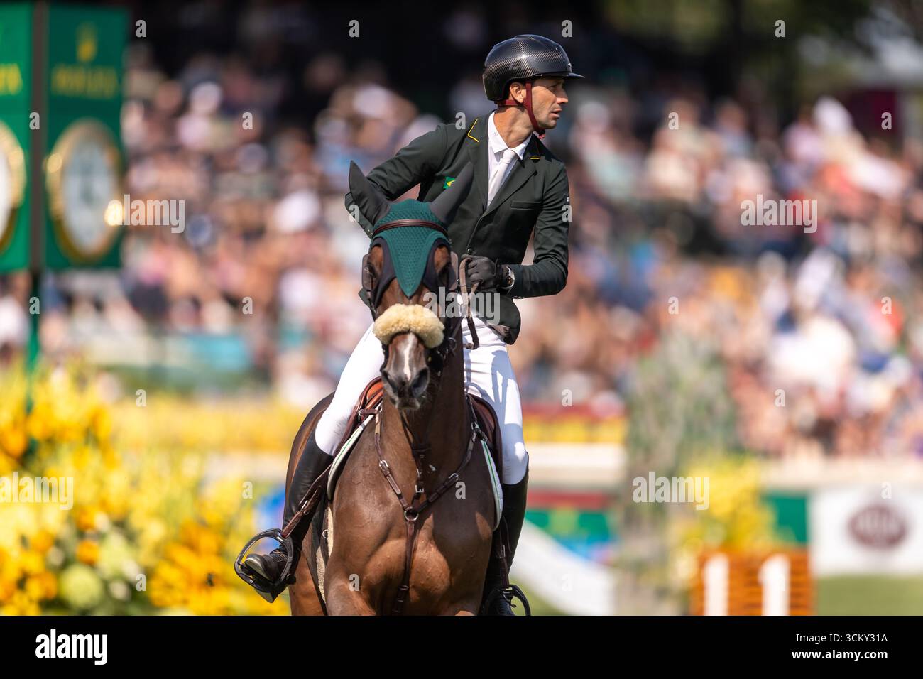 Pedro Junquiera Muylaert aus Brasilien, reitet auf Quax 76, tritt in der ersten Runde des BMO Nations Cup 2025 während der Spruce Meadows „Masters“ am September an Stockfoto