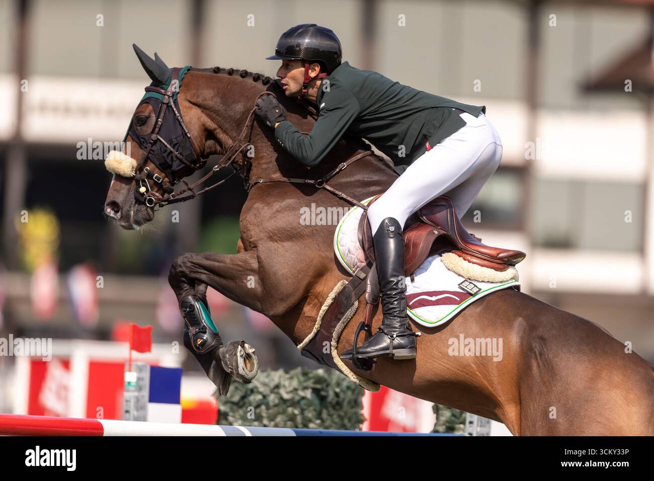 Pedro Junquiera Muylaert aus Brasilien, reitet auf Quax 76, tritt in der ersten Runde des BMO Nations Cup 2025 während der Spruce Meadows „Masters“ am September an Stockfoto