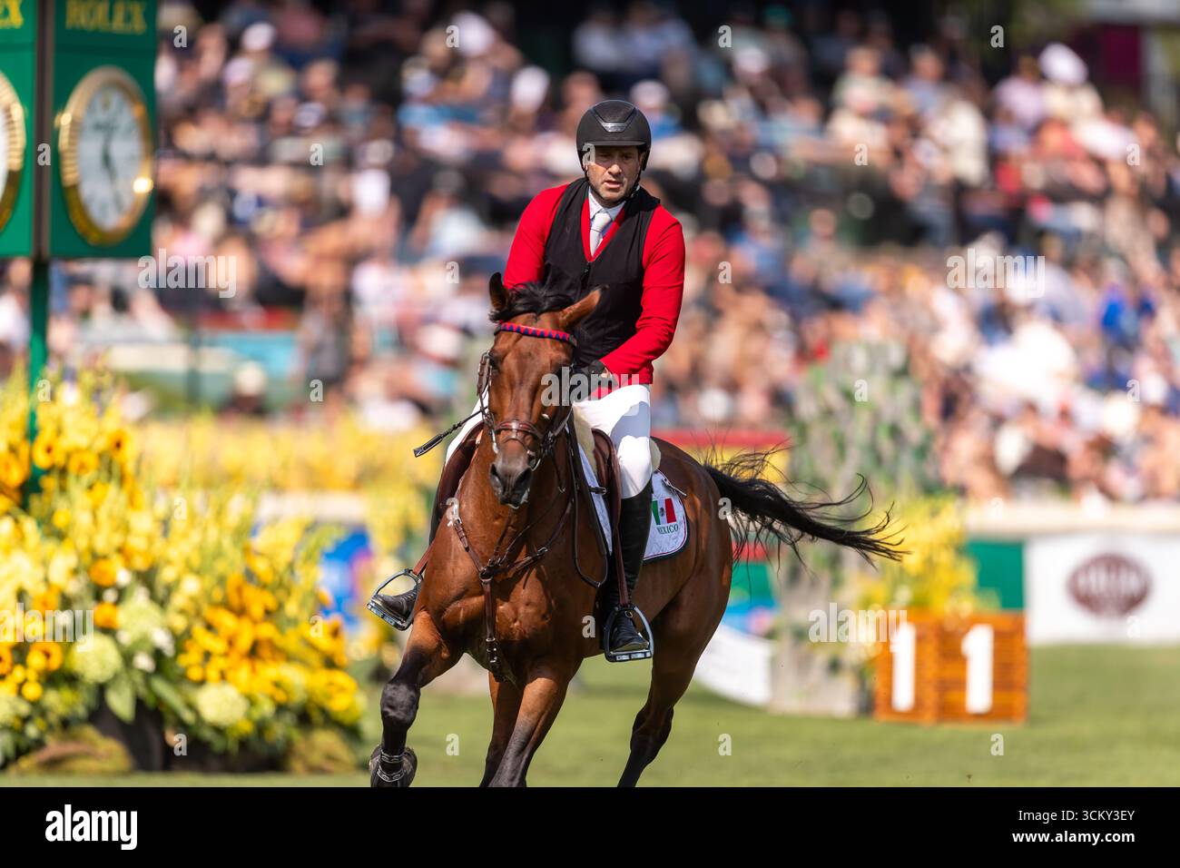 Pedro Pasquel aus Mexiko, der auf Chakkalou PS fährt, tritt im September in der ersten Runde des BMO Nations Cup 2025 während der Spruce Meadows „Masters“ an Stockfoto