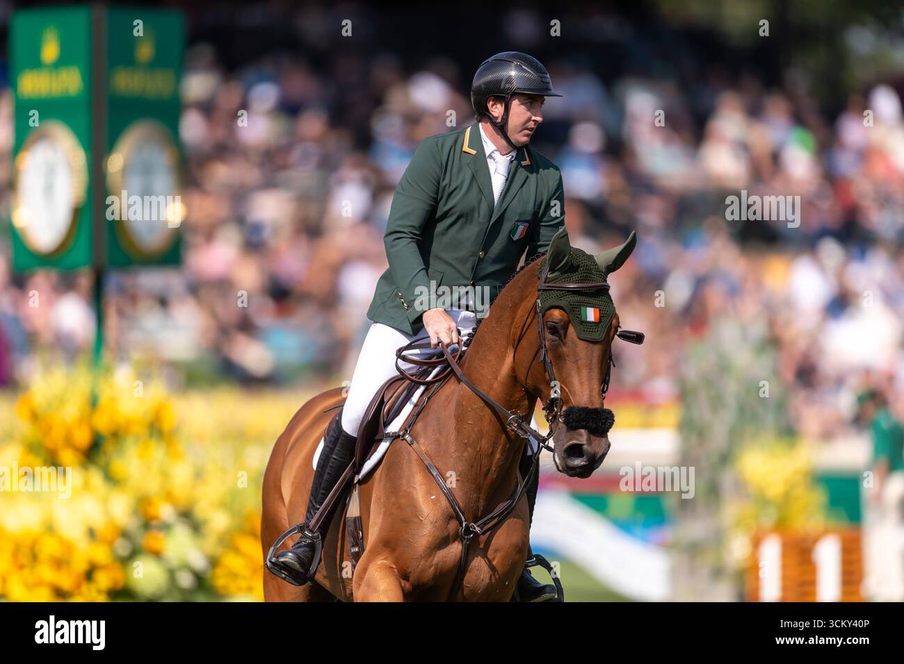 Jordan Coyle aus Irland, Reiten Chaccolino, tritt am 6. September in der ersten Runde des BMO Nations Cups 2025 während der Spruce Meadows „Masters“ an Stockfoto