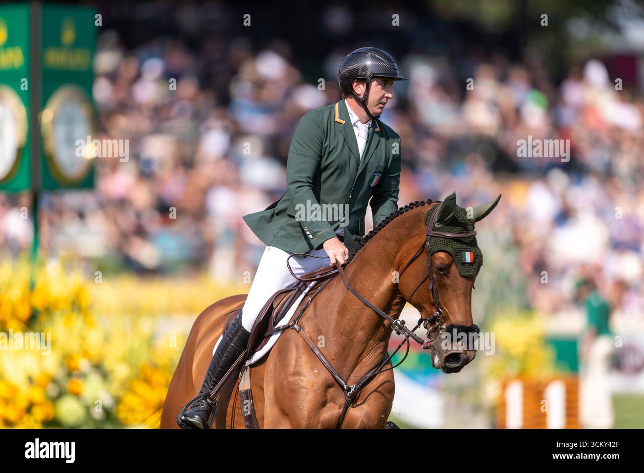Jordan Coyle aus Irland, Reiten Chaccolino, tritt am 6. September in der ersten Runde des BMO Nations Cups 2025 während der Spruce Meadows „Masters“ an Stockfoto