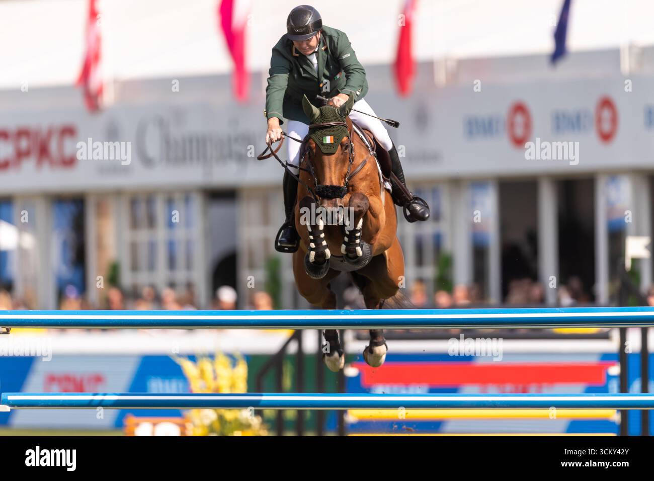 Jordan Coyle aus Irland, Reiten Chaccolino, tritt am 6. September in der ersten Runde des BMO Nations Cups 2025 während der Spruce Meadows „Masters“ an Stockfoto