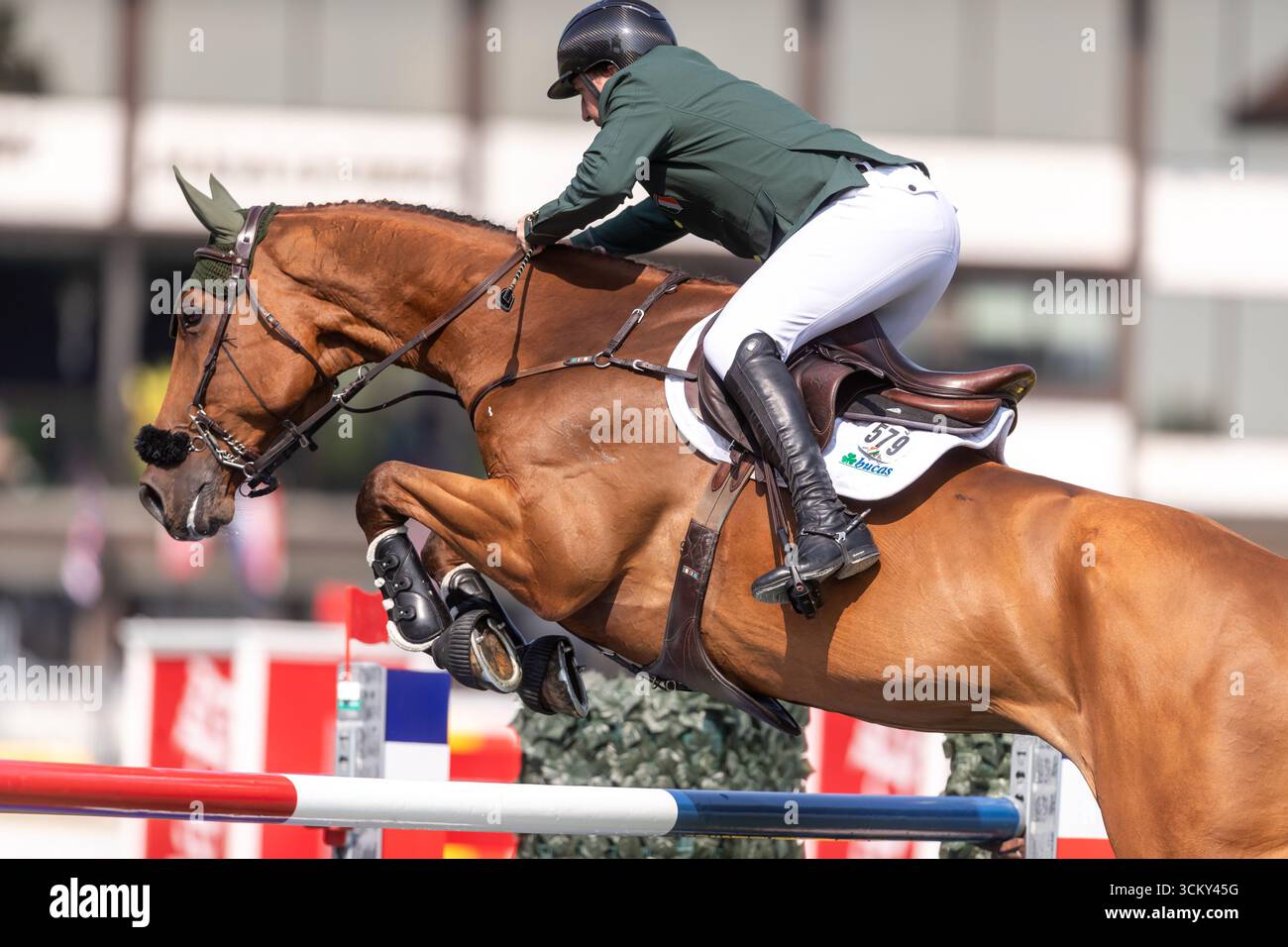 Jordan Coyle aus Irland, Reiten Chaccolino, tritt am 6. September in der ersten Runde des BMO Nations Cups 2025 während der Spruce Meadows „Masters“ an Stockfoto