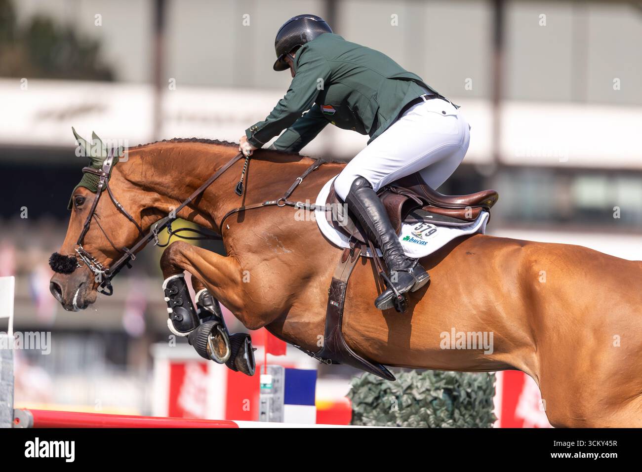 Jordan Coyle aus Irland, Reiten Chaccolino, tritt am 6. September in der ersten Runde des BMO Nations Cups 2025 während der Spruce Meadows „Masters“ an Stockfoto