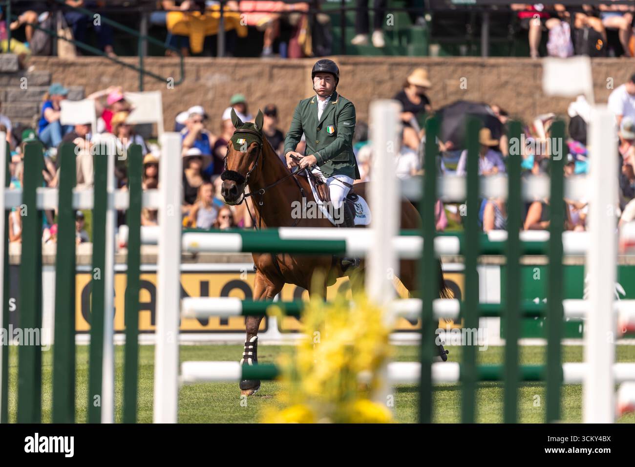 Jordan Coyle aus Irland, Reiten Chaccolino, tritt am 6. September in der ersten Runde des BMO Nations Cups 2025 während der Spruce Meadows „Masters“ an Stockfoto