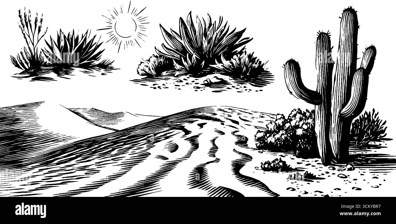 Wüstenlandschaft mit Sanddünen, Kakteen und Sonne für die Gestaltung der Natur. Stock Vektor