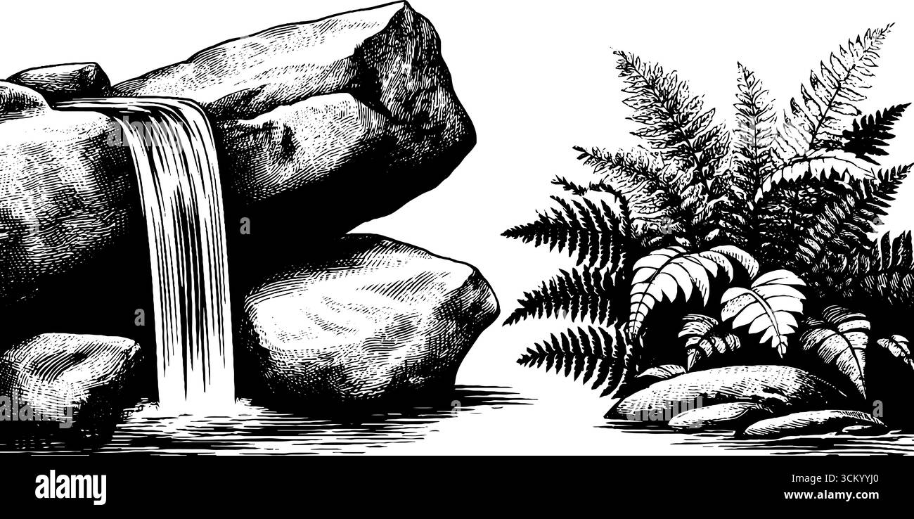 Versteckte Nische mit Wasserfall und Farnen – ruhige Natur für Design. Stock Vektor