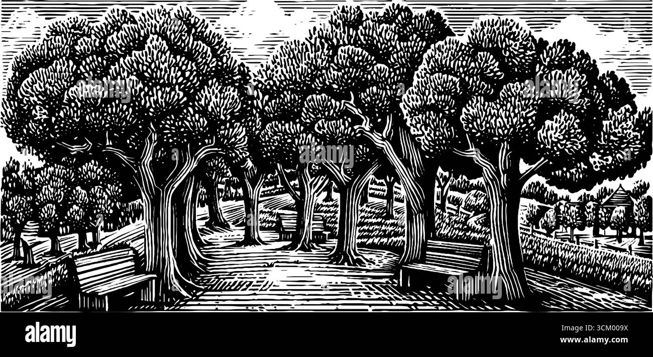 Ruhige, von Bäumen gesäumte Promenade mit Bänken in Schwarz-weiß für künstlerisches Design. Stock Vektor