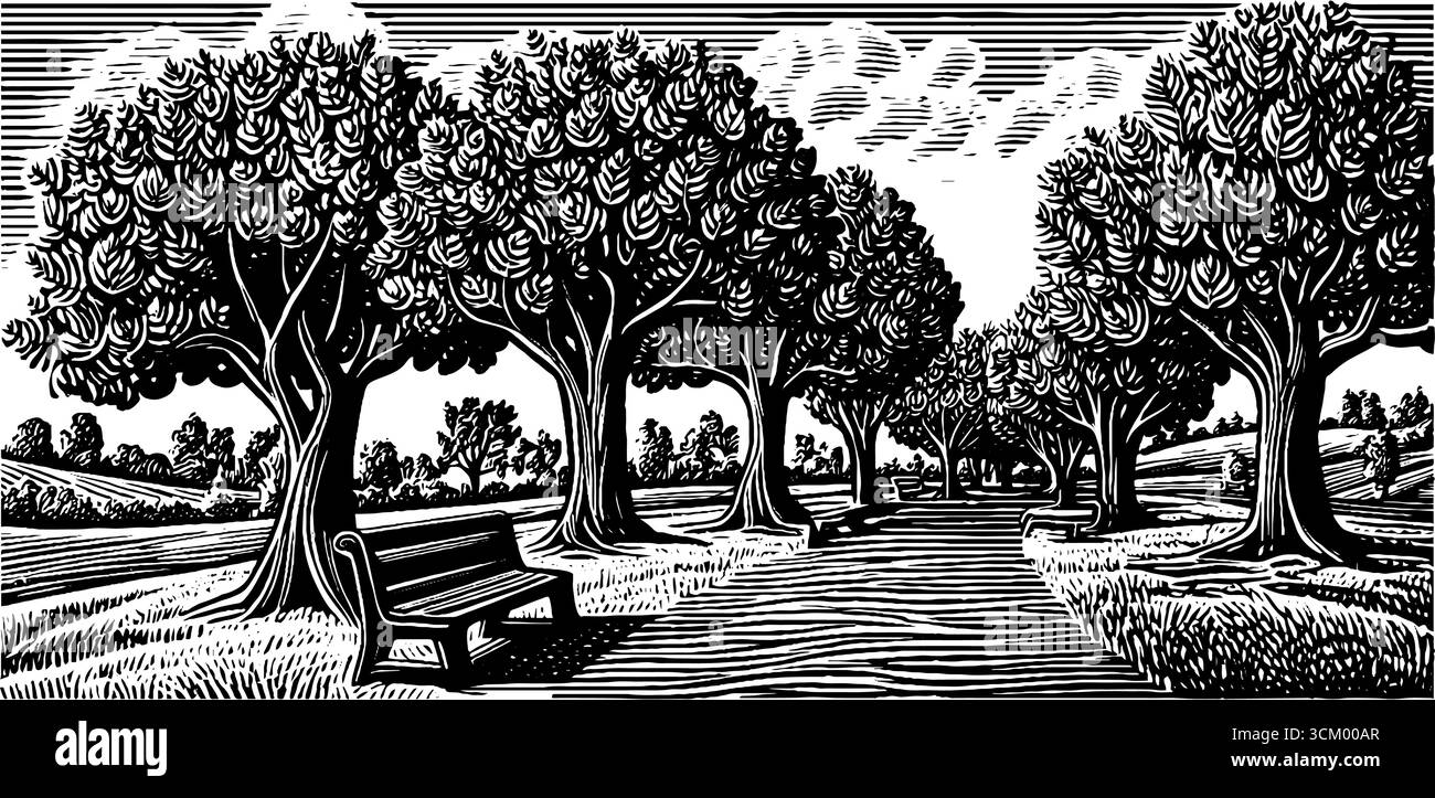 Ruhige, von Bäumen gesäumte Promenade mit Bänken in Schwarz-weiß zur Entspannung und Reflexion. Stock Vektor