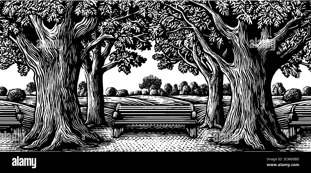 Ruhige, von Bäumen gesäumte Promenade mit Bänken in Schwarz-weiß-Optik für ein ruhiges Design im Freien. Stock Vektor