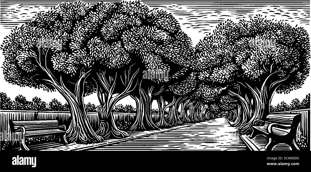 Ruhige, von Bäumen gesäumte Promenade mit Bänken in Schwarz und weiß für zeitlose Ruhe. Stock Vektor