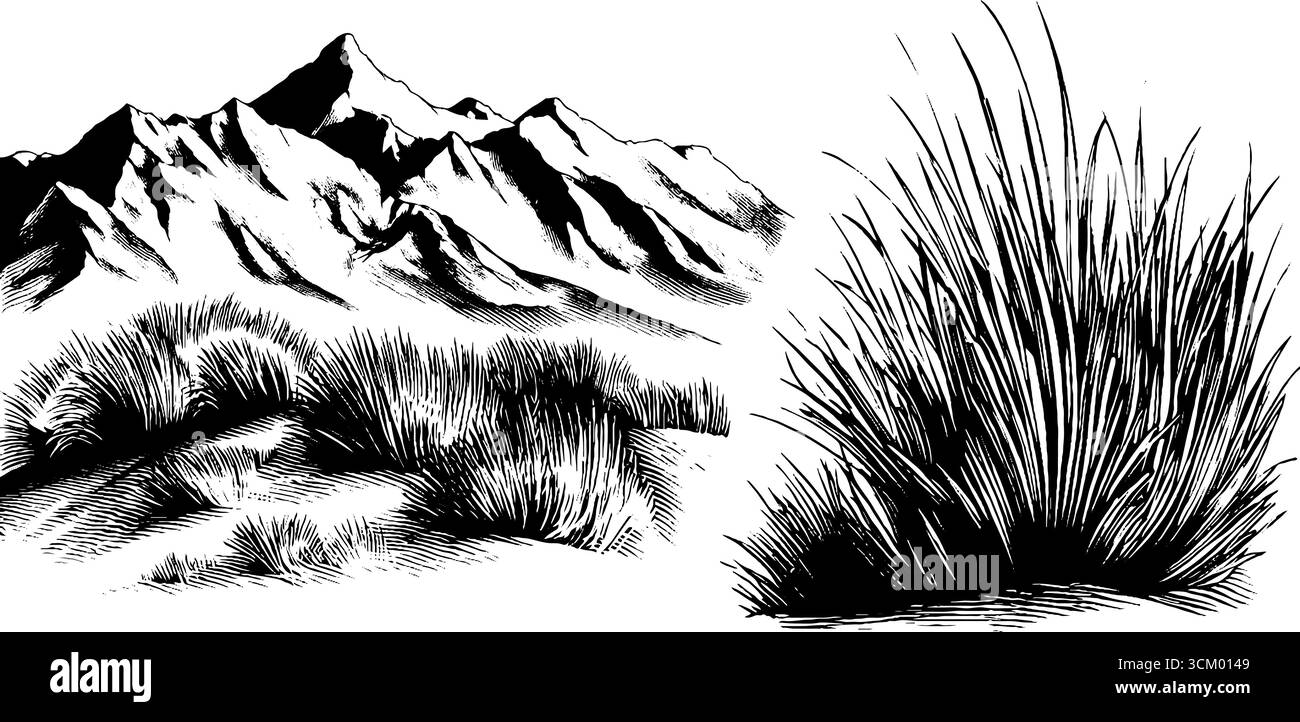 Malerisches felsiges Plateau und Bergrücken für künstlerisches Design. Stock Vektor