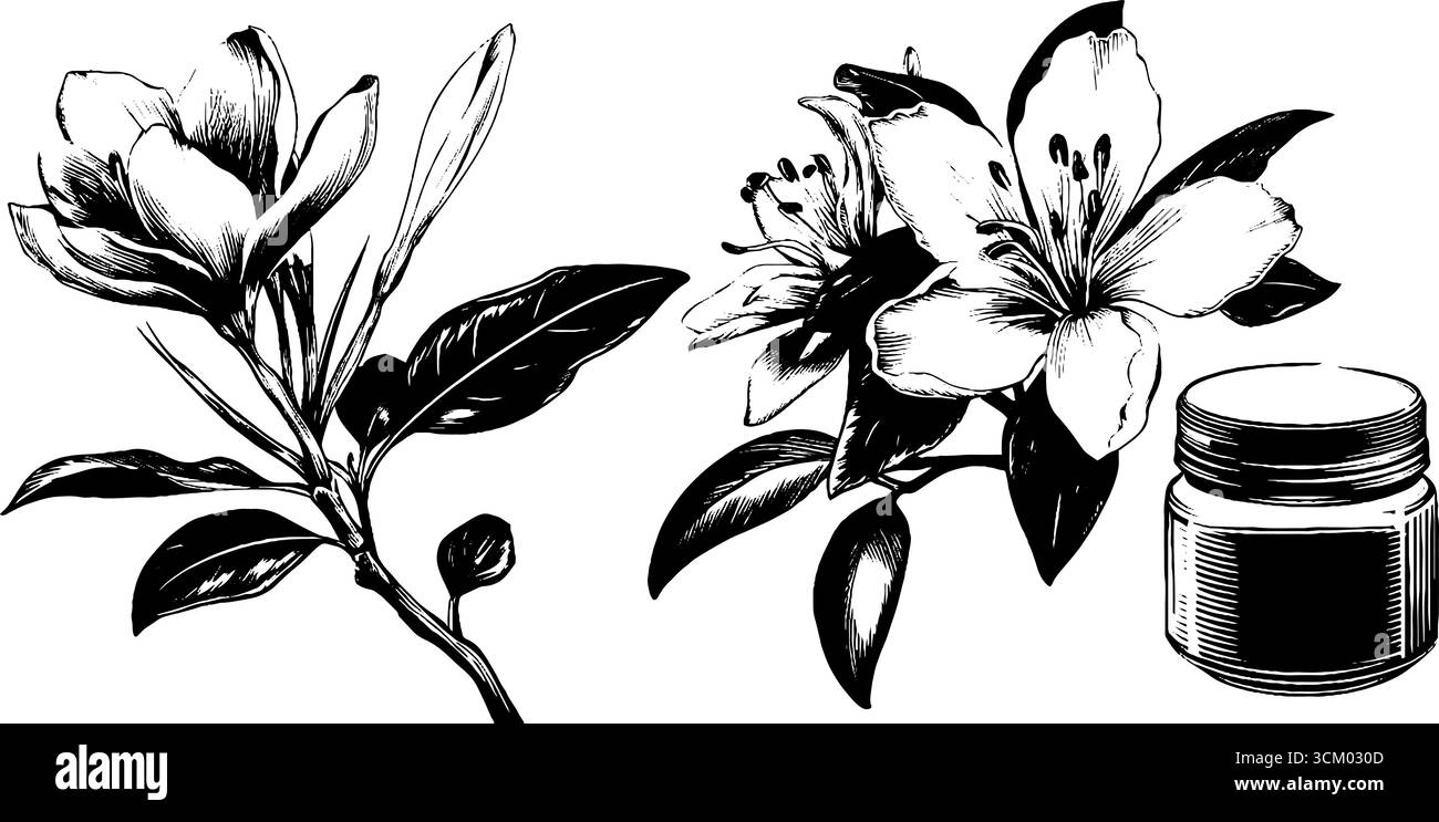 Vintage Safran und Gewürz Illustration mit Glas und Blüten. Stock Vektor